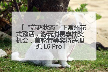 “苏超状态”下常州花式整活：游玩消费享抽奖机会，首轮特等奖将送理想 L6 Pro