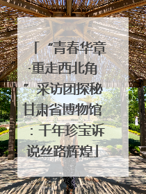 “青春华章·重走西北角”采访团探秘甘肃省博物馆：千年珍宝诉说丝路辉煌