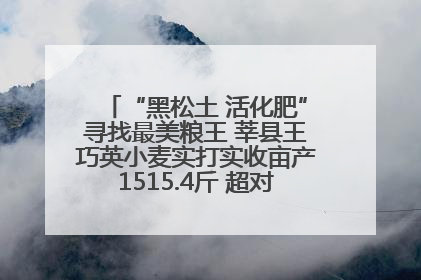 “黑松土 活化肥”寻找最美粮王 莘县王巧英小麦实打实收亩产1515.4斤 超对照田144斤！