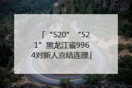 “520”“521”黑龙江省9964对新人喜结连理