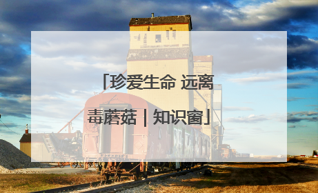 珍爱生命 远离毒蘑菇｜知识窗