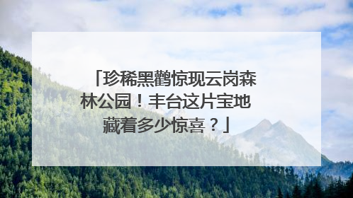 珍稀黑鹳惊现云岗森林公园！丰台这片宝地藏着多少惊喜？