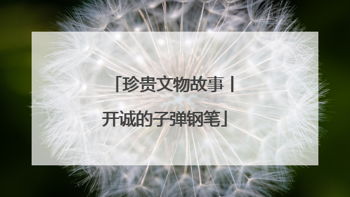 珍贵文物故事丨开诚的子弹钢笔