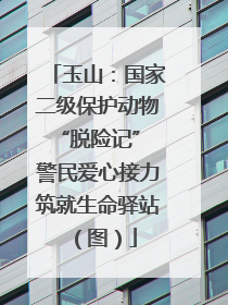 玉山：国家二级保护动物“脱险记” 警民爱心接力筑就生命驿站（图）