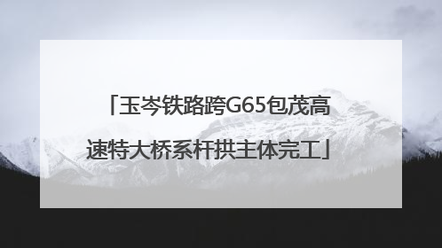 玉岑铁路跨G65包茂高速特大桥系杆拱主体完工