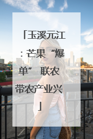 玉溪元江：芒果“爆单” 联农带农产业兴