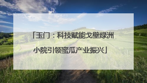 玉门：科技赋能戈壁绿洲 小院引领蜜瓜产业振兴