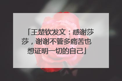 王楚钦发文：感谢莎莎，谢谢不管多痛苦也想证明一切的自己