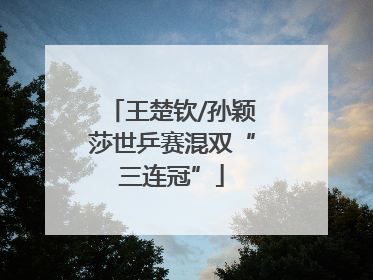 王楚钦/孙颖莎世乒赛混双“三连冠”