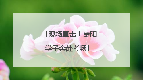 现场直击！襄阳学子奔赴考场