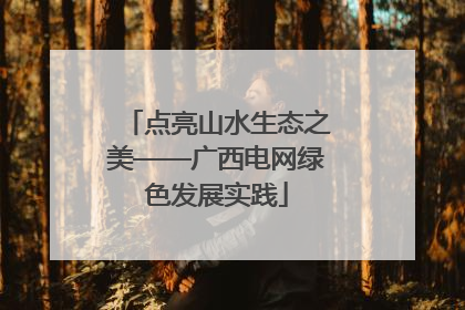 点亮山水生态之美——广西电网绿色发展实践