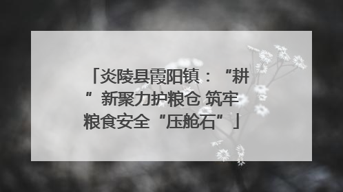 炎陵县霞阳镇：“耕”新聚力护粮仓 筑牢粮食安全“压舱石”