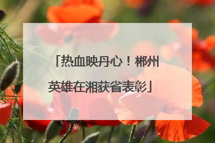热血映丹心！郴州英雄在湘获省表彰