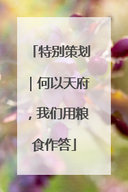 特别策划｜何以天府，我们用粮食作答