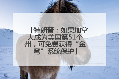特朗普：如果加拿大成为美国第51个州，可免费获得“金穹”系统保护