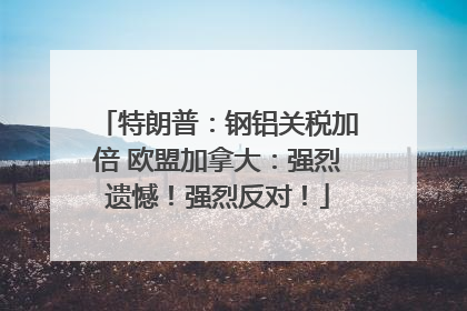 特朗普：钢铝关税加倍 欧盟加拿大：强烈遗憾！强烈反对！