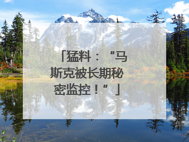 猛料：“马斯克被长期秘密监控！”