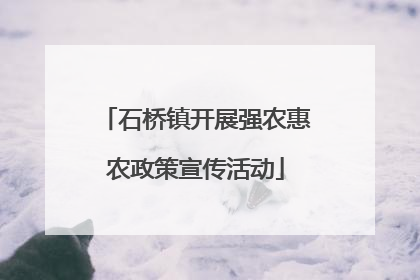 石桥镇开展强农惠农政策宣传活动