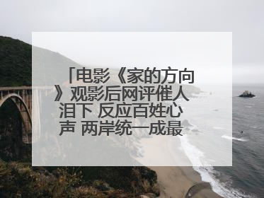 电影《家的方向》观影后网评催人泪下 反应百姓心声 两岸统一成最强音！