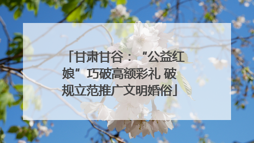甘肃甘谷：“公益红娘”巧破高额彩礼 破规立范推广文明婚俗