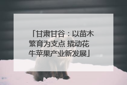甘肃甘谷：以苗木繁育为支点 撬动花牛苹果产业新发展