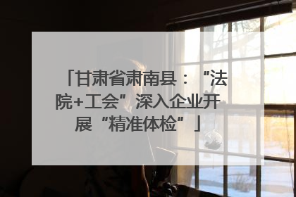 甘肃省肃南县：“法院+工会”深入企业开展“精准体检”