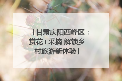 甘肃庆阳西峰区：赏花+采摘 解锁乡村旅游新体验