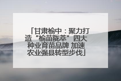 甘肃榆中：聚力打造“榆苗陇萃”四大种业育苗品牌 加速农业强县转型步伐