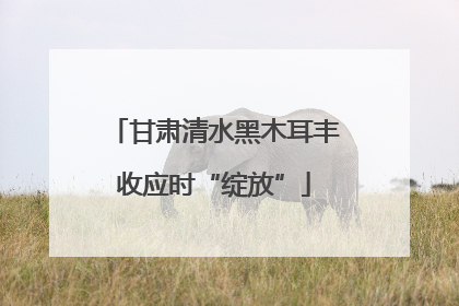 甘肃清水黑木耳丰收应时“绽放”