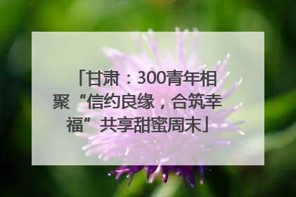 甘肃：300青年相聚“信约良缘，合筑幸福”共享甜蜜周末