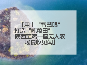 用上“智慧眼” 打造“吨粮田”——陕西宝鸡一座无人农场夏收见闻