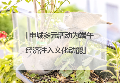 申城多元活动为端午经济注入文化动能