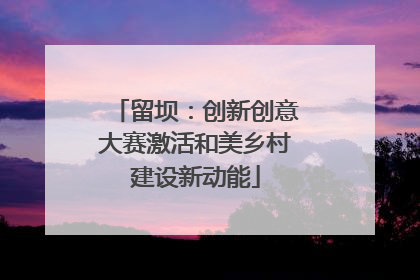 留坝：创新创意大赛激活和美乡村建设新动能