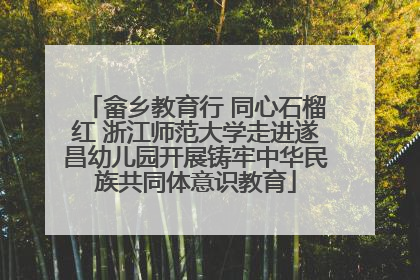 畲乡教育行 同心石榴红 浙江师范大学走进遂昌幼儿园开展铸牢中华民族共同体意识教育