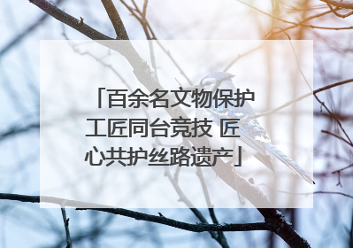 百余名文物保护工匠同台竞技 匠心共护丝路遗产