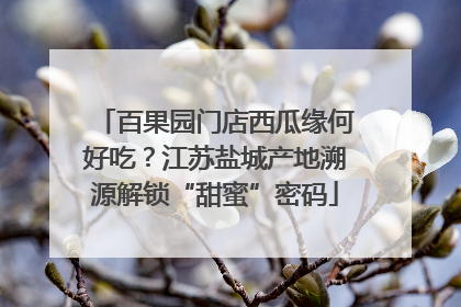 百果园门店西瓜缘何好吃？江苏盐城产地溯源解锁“甜蜜”密码