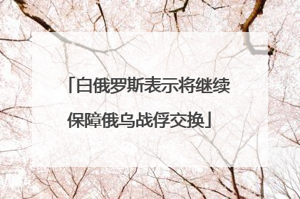 白俄罗斯表示将继续保障俄乌战俘交换