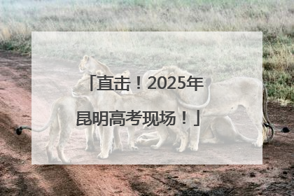 直击！2025年昆明高考现场！