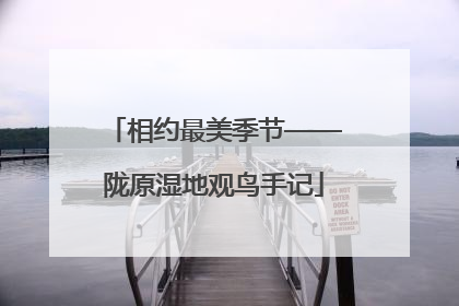 相约最美季节——陇原湿地观鸟手记
