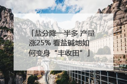 盐分降一半多 产量涨25% 看盐碱地如何变身“丰收田”