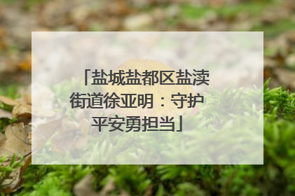 盐城盐都区盐渎街道徐亚明：守护平安勇担当
