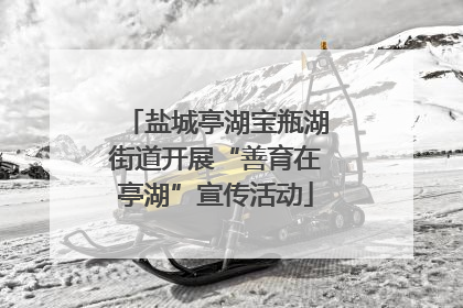 盐城亭湖宝瓶湖街道开展“善育在亭湖”宣传活动