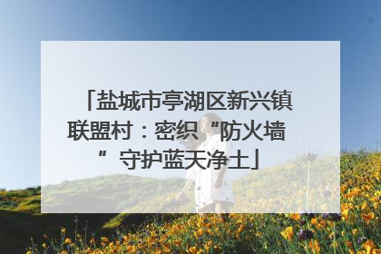 盐城市亭湖区新兴镇联盟村：密织“防火墙”守护蓝天净土