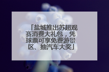 盐城推出苏超观赛消费大礼包，凭球票可享免费游景区、抽汽车大奖