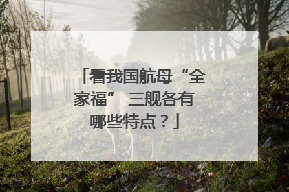 看我国航母“全家福” 三舰各有哪些特点？