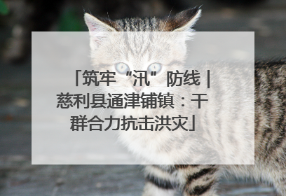 筑牢“汛”防线｜慈利县通津铺镇：干群合力抗击洪灾