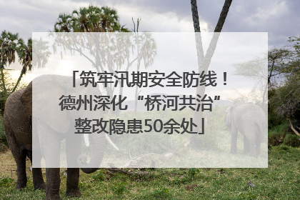 筑牢汛期安全防线！德州深化“桥河共治”整改隐患50余处