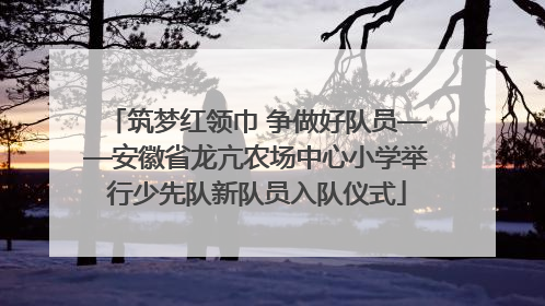 筑梦红领巾 争做好队员——安徽省龙亢农场中心小学举行少先队新队员入队仪式