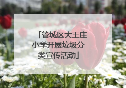 管城区大王庄小学开展垃圾分类宣传活动