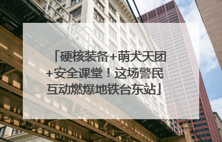 硬核装备+萌犬天团+安全课堂！这场警民互动燃爆地铁台东站